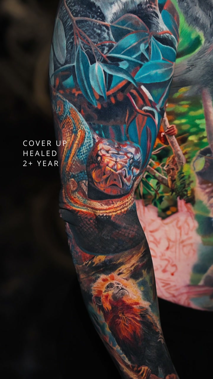Healed color realism cover-up sleeve by Alex666cold — jungle scene with a python and a golden lion tamarin, 2+ years healed