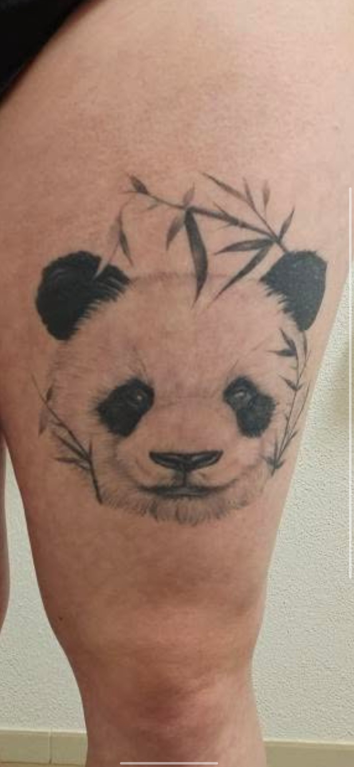 Tattoo-Cover-up — Zustand vorher: schwarz-weißer Panda mit Bambus auf dem Oberschenkel, Ohren und Augen dicht mit Schwarz gefüllt