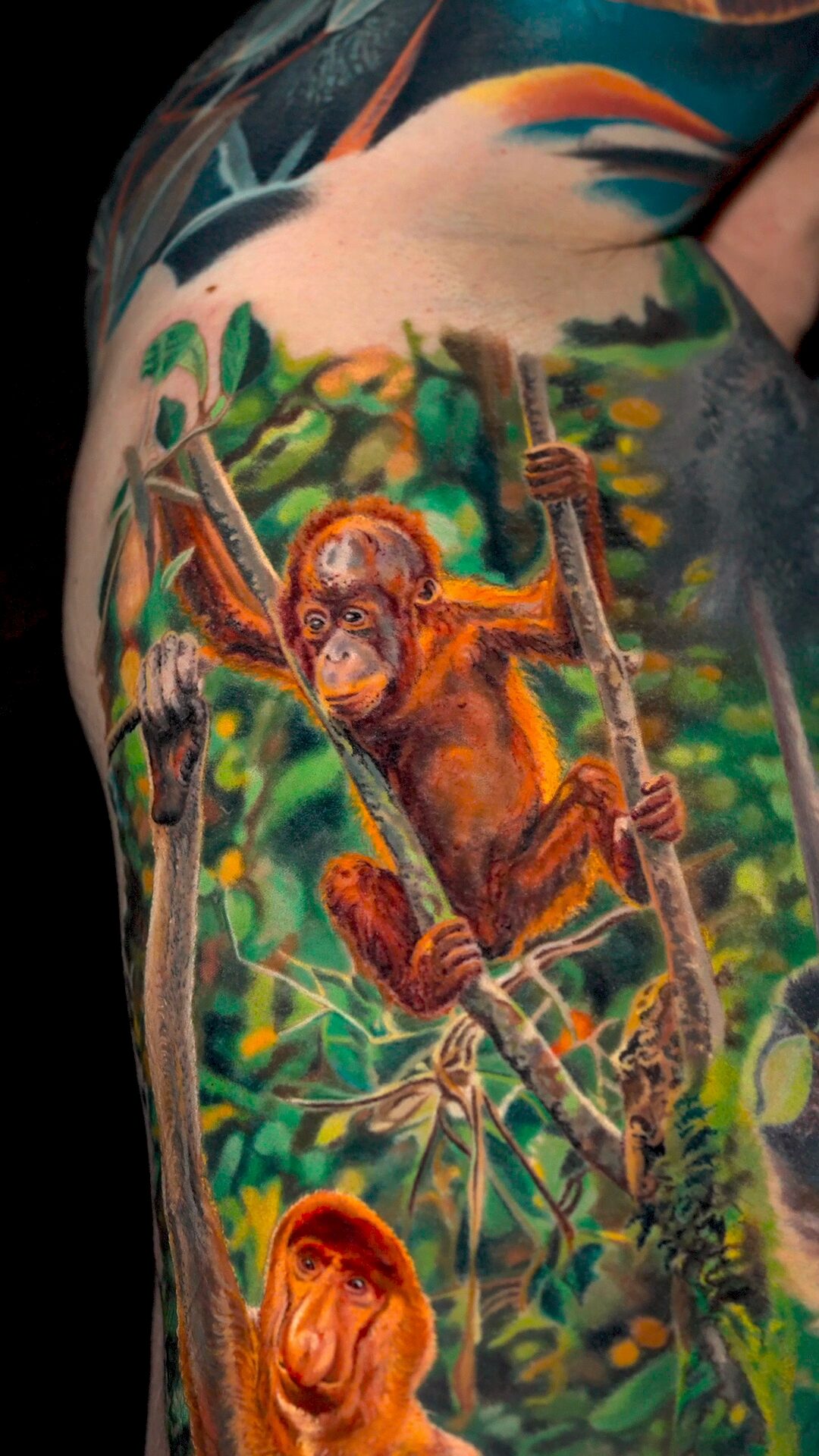 Ganzes Tattoo mit angehobenem Arm: Orang-Utan im Zentrum, Nasenaffe unten, Achsel oben, Wrocław.
