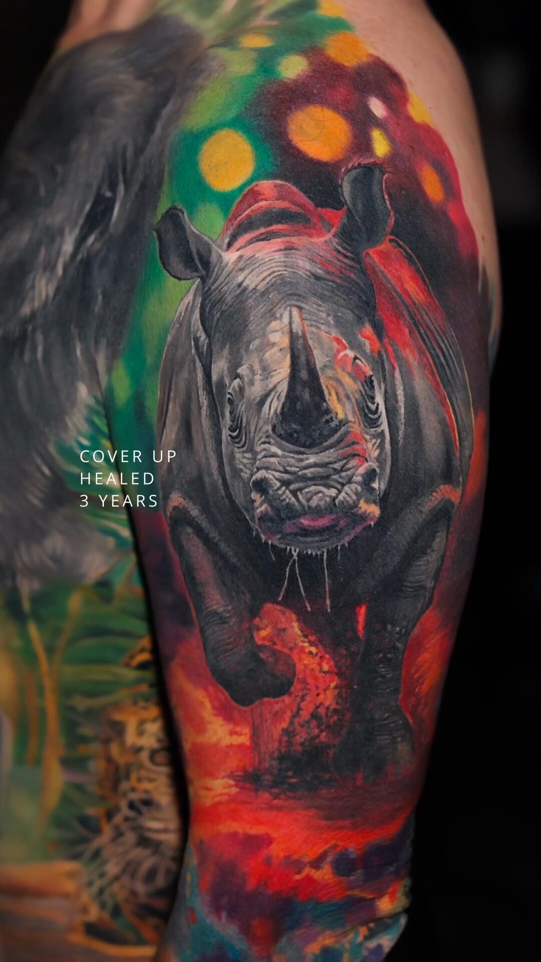 Nashorn-Tattoo als Cover-up – seit 3 Jahren abgeheiltes Tattoo, Breslau