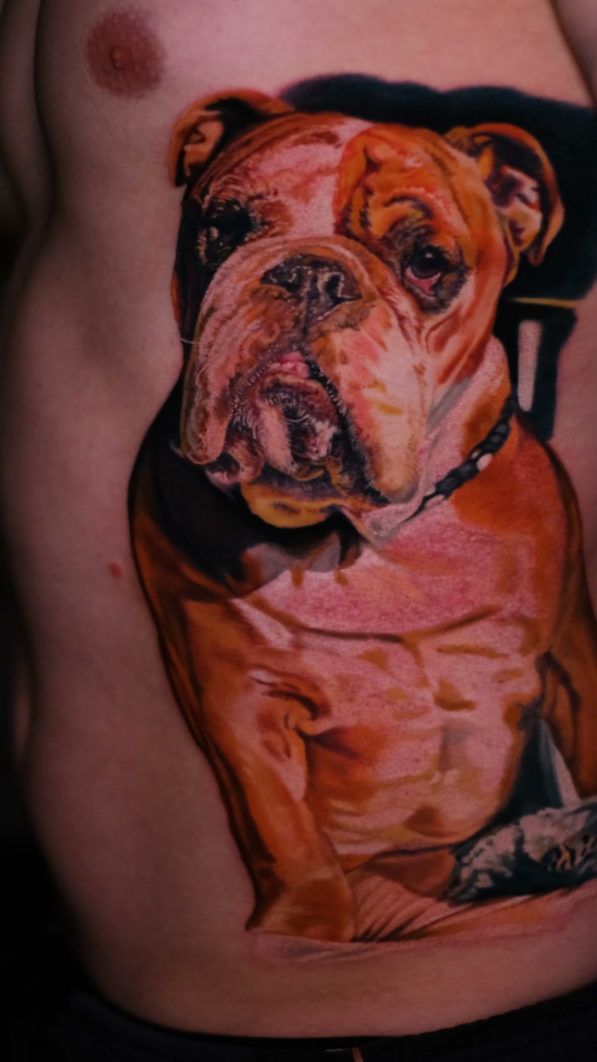 Realistisches Hundeportrait — Nahaufnahme von Falten und Fell der Bulldogge