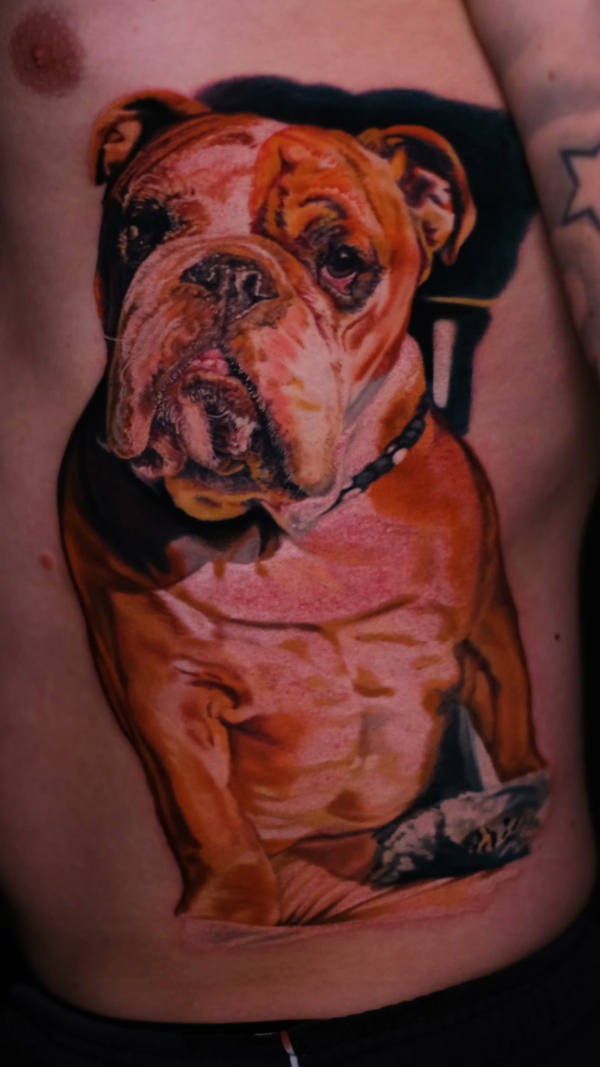 Tattoo zur Erinnerung an einen Hund — Tierportrait über die ganzen Rippen