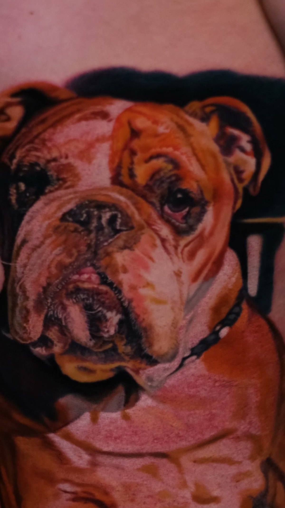 Realistisches Hunde-Tattoo — die fertige Arbeit seitlich am Körper