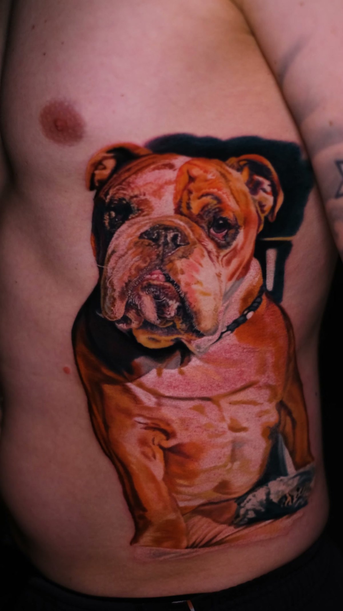 Hunde-Tattoo nach Foto — Englische Bulldogge, Color-Realism, Wrocław