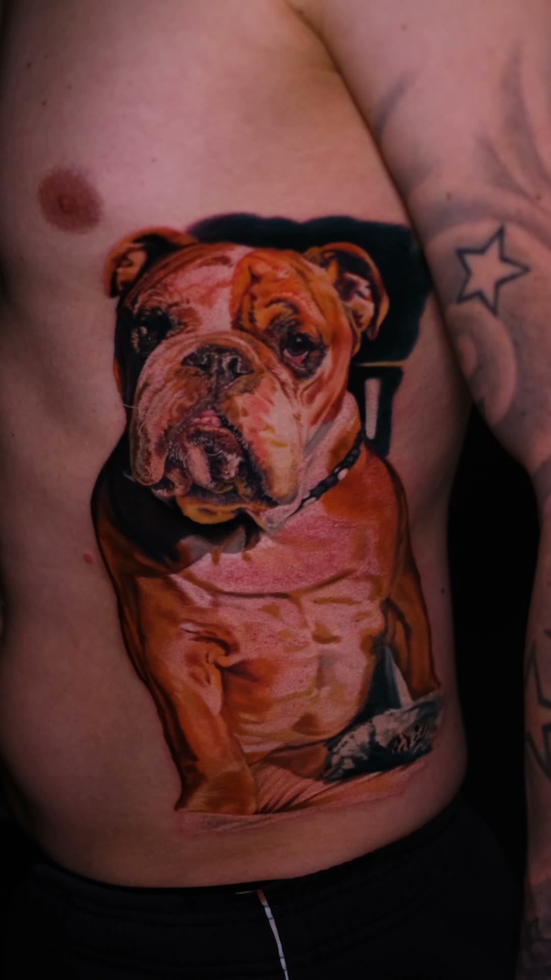 Hundeportrait nach Foto — eine Arbeit zur Erinnerung an den Hund, über die ganzen Rippen
