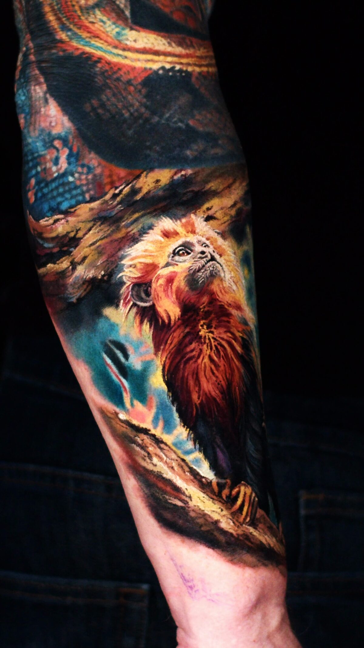 Nach oben blickendes Löwenäffchen – realistisches Tier-Tattoo auf dem Unterarm.